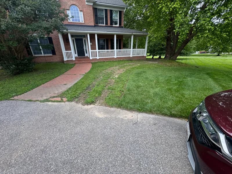Well-maintained front yard lawn