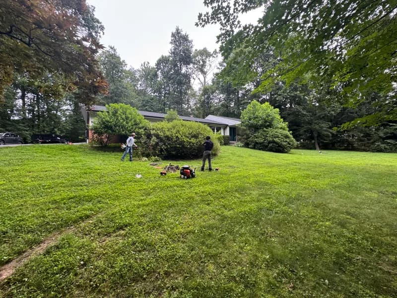 Wide shot of professional lawn mowing