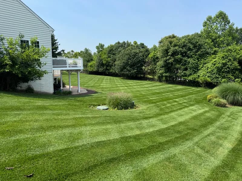Lawn Care
